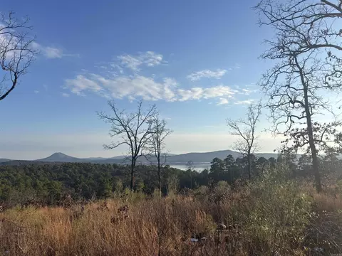 lot64 Waterview Dr, Roland, AR 72135