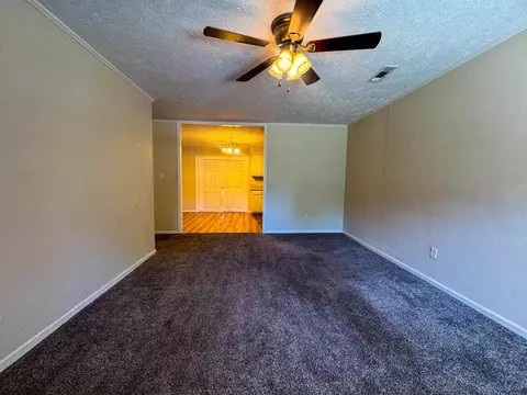 Living - 20 Diane Ave, Ash Flat, AR 72513 photo 1 of 4