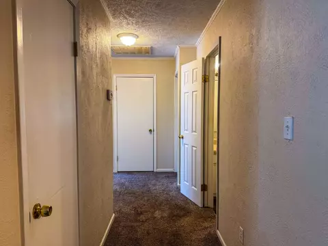 Entry Way - 20 Diane Ave, Ash Flat, AR 72513 photo 1 of 2