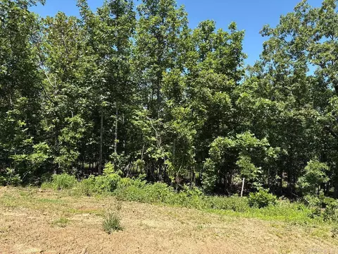 lot14 7 Lakes Ranch Ests, Conway, AR 72032 photo 2