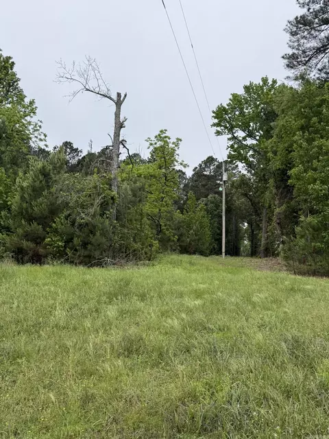 tbd Hwy 278 W, Dierks, AR 71833 photo 3