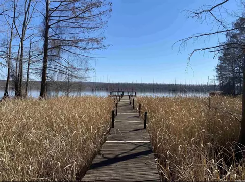 86 Waterfront Cv, Conway, AR 72023