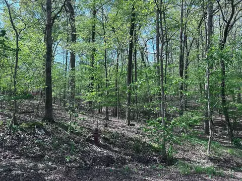 47 Rubi Cir, Hot Springs Village, AR 71909