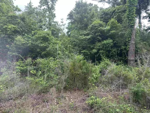 0 Binns Loop, North Crossett, AR 71635 photo 3