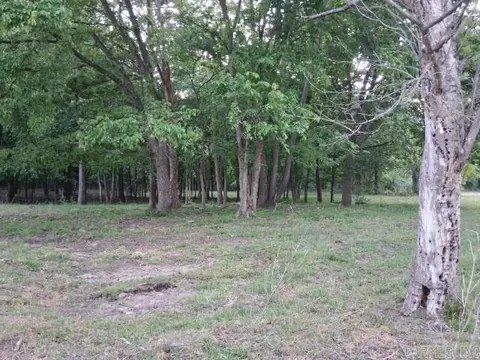 Partee, Marcella, AR 72555 photo 4