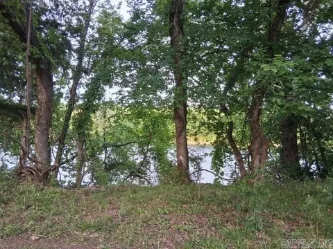 Partee, Marcella, AR 72555 photo 13