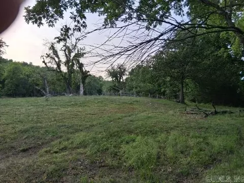 Partee, Marcella, AR 72555 photo 6