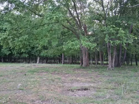 Partee, Marcella, AR 72555 photo 5