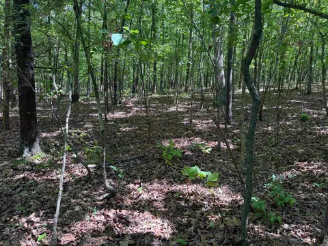 Overlook Dr, Bradford, AR 72020 photo 13