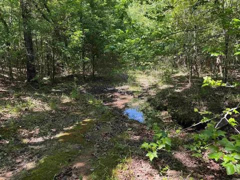 Overlook Dr, Bradford, AR 72020 photo 10