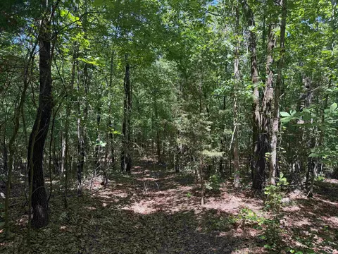 Overlook Dr, Bradford, AR 72020 photo 11