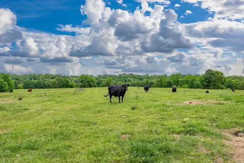 371 Highway 128, Bismarck, AR 71929