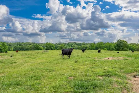 371 Highway 128, Bismarck, AR 71929