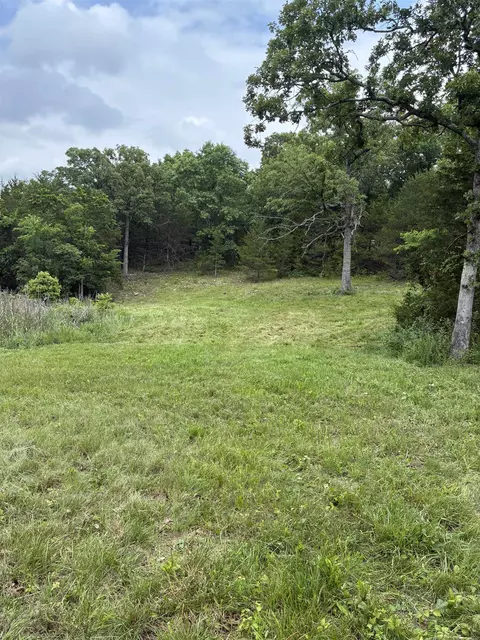 Other - 3044 Buford Cutoff, Mountain Home, AR 72653 photo 15 of 22