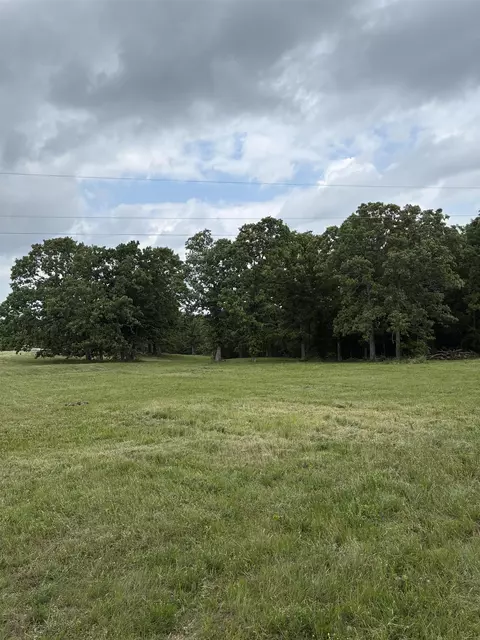 Other - 3044 Buford Cutoff, Mountain Home, AR 72653 photo 22 of 22