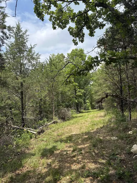 Other - 3044 Buford Cutoff, Mountain Home, AR 72653 photo 13 of 22