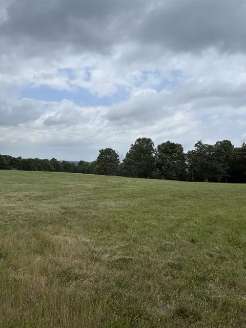 Other - 3044 Buford Cutoff, Mountain Home, AR 72653 photo 21 of 22