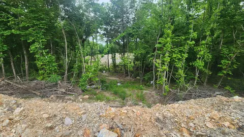 598 Ryan Rd, Oden, AR 71961 photo 43