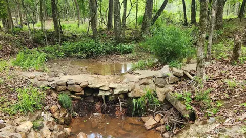 598 Ryan Rd, Oden, AR 71961 photo 21