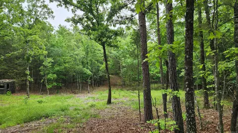 598 Ryan Rd, Oden, AR 71961 photo 35