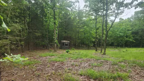 598 Ryan Rd, Oden, AR 71961 photo 31