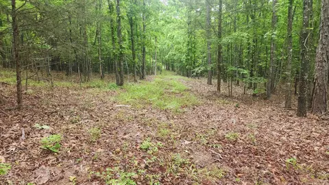 598 Ryan Rd, Oden, AR 71961 photo 23