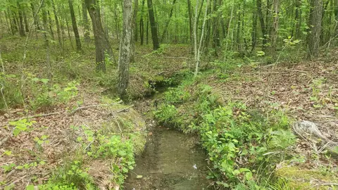 598 Ryan Rd, Oden, AR 71961 photo 25