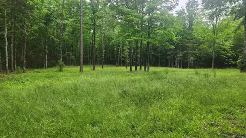 598 Ryan Rd, Oden, AR 71961 photo 22