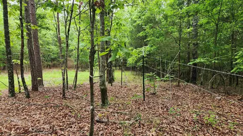598 Ryan Rd, Oden, AR 71961 photo 33