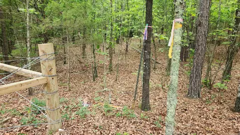 598 Ryan Rd, Oden, AR 71961 photo 34