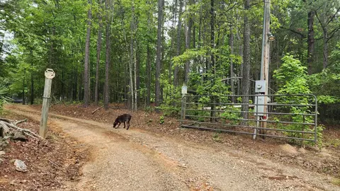 598 Ryan Rd, Oden, AR 71961 photo 19