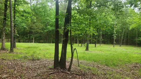 598 Ryan Rd, Oden, AR 71961 photo 24