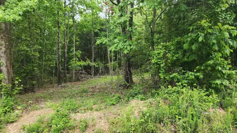 598 Ryan Rd, Oden, AR 71961 photo 28