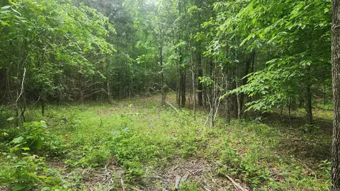 598 Ryan Rd, Oden, AR 71961 photo 27