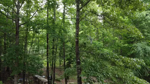598 Ryan Rd, Oden, AR 71961 photo 29