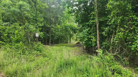 515 Ryan Rd, Oden, AR 71961 photo 47