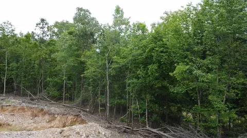 515 Ryan Rd, Oden, AR 71961 photo 13