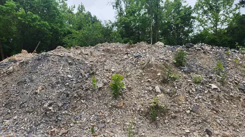 515 Ryan Rd, Oden, AR 71961 photo 36