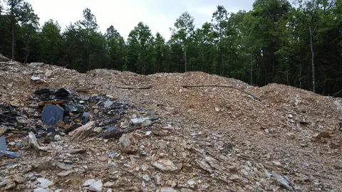 515 Ryan Rd, Oden, AR 71961 photo 17