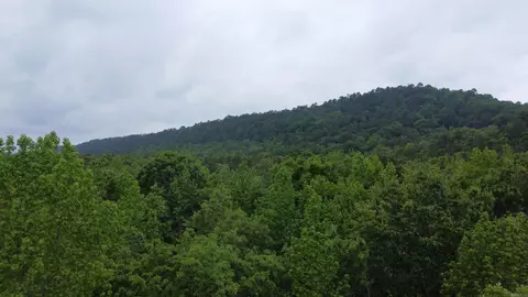 515 Ryan Rd, Oden, AR 71961 photo 3