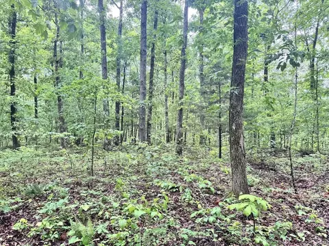 0 Herpel Rd, Mountain View, AR 72560 photo 3