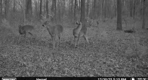 0 Herpel Rd, Mountain View, AR 72560 photo 9