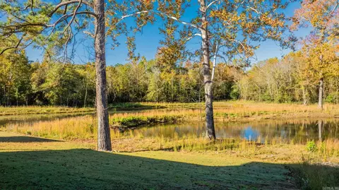 View/Area - 6841 Rudolph Rd, Alexander, AR 72002 photo 6 of 6