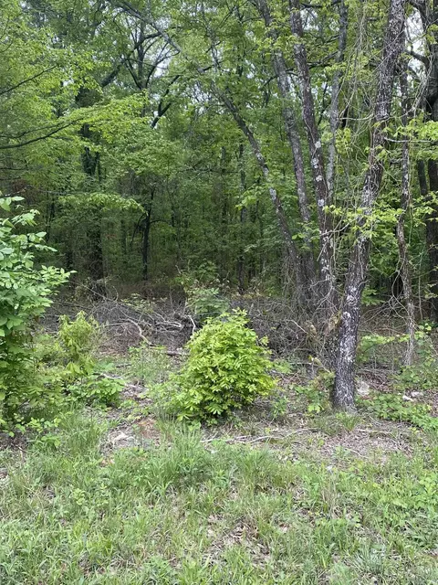 00 Jackson 347, Bradford, AR 72020 photo 2