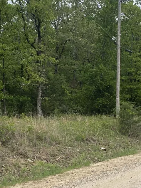 00 Jackson 347, Bradford, AR 72020 photo 3