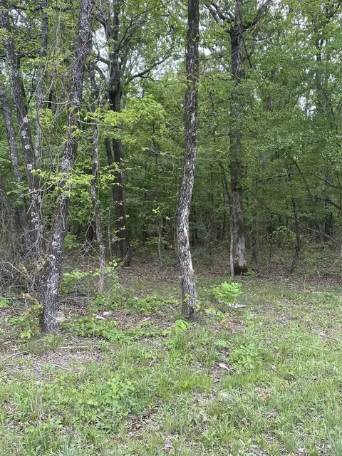 00 Jackson 347, Bradford, AR 72020