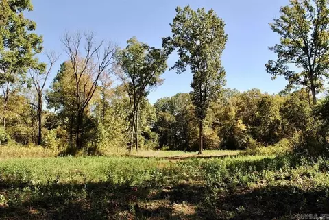 Off Forest Road Y09, Perryville, AR 72126
