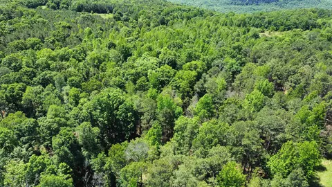 View/Area - 3109 Red River Rd, Fox, AR 72051 photo 1 of 4