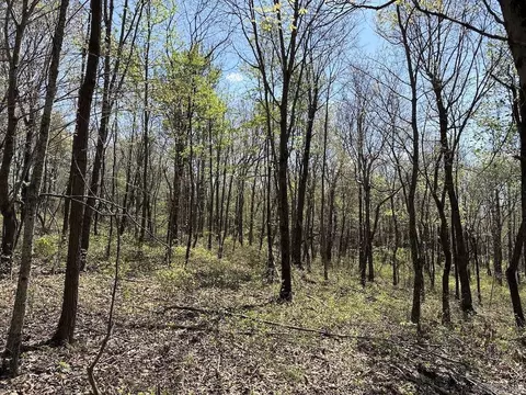 tbd Liberty Rd, Leslie, AR 72645 photo 50
