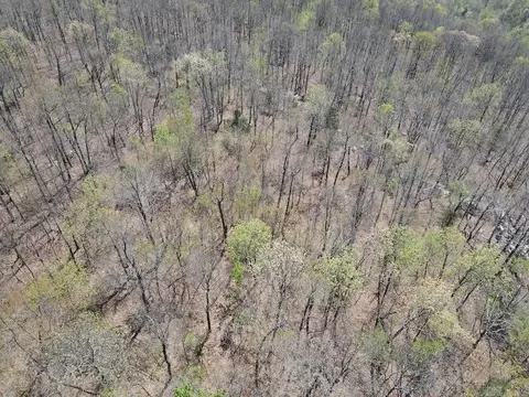 tbd Liberty Rd, Leslie, AR 72645 photo 34